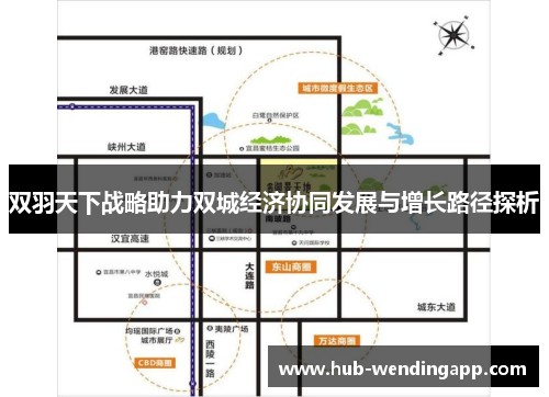 双羽天下战略助力双城经济协同发展与增长路径探析