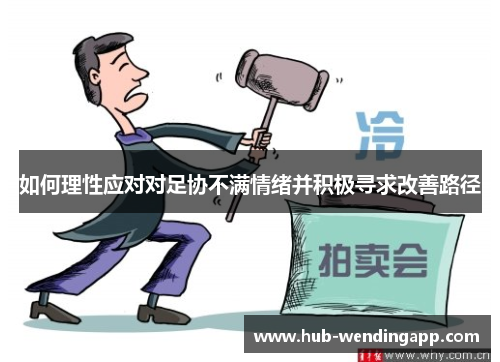 如何理性应对对足协不满情绪并积极寻求改善路径
