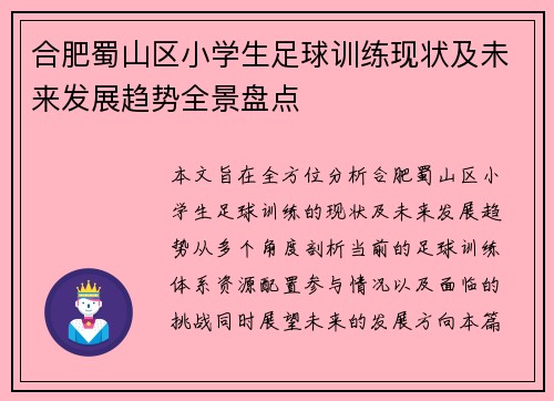 合肥蜀山区小学生足球训练现状及未来发展趋势全景盘点