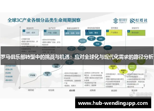 罗马俱乐部转型中的挑战与机遇：应对全球化与现代化需求的路径分析