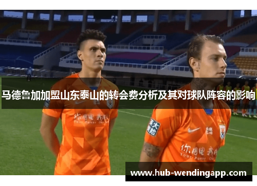 马德鲁加加盟山东泰山的转会费分析及其对球队阵容的影响 马德鲁加加盟山东泰山的转会费分析及其对球队阵容的影响